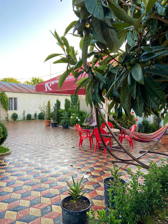 Hotel Doko Martvili Bagian luar foto