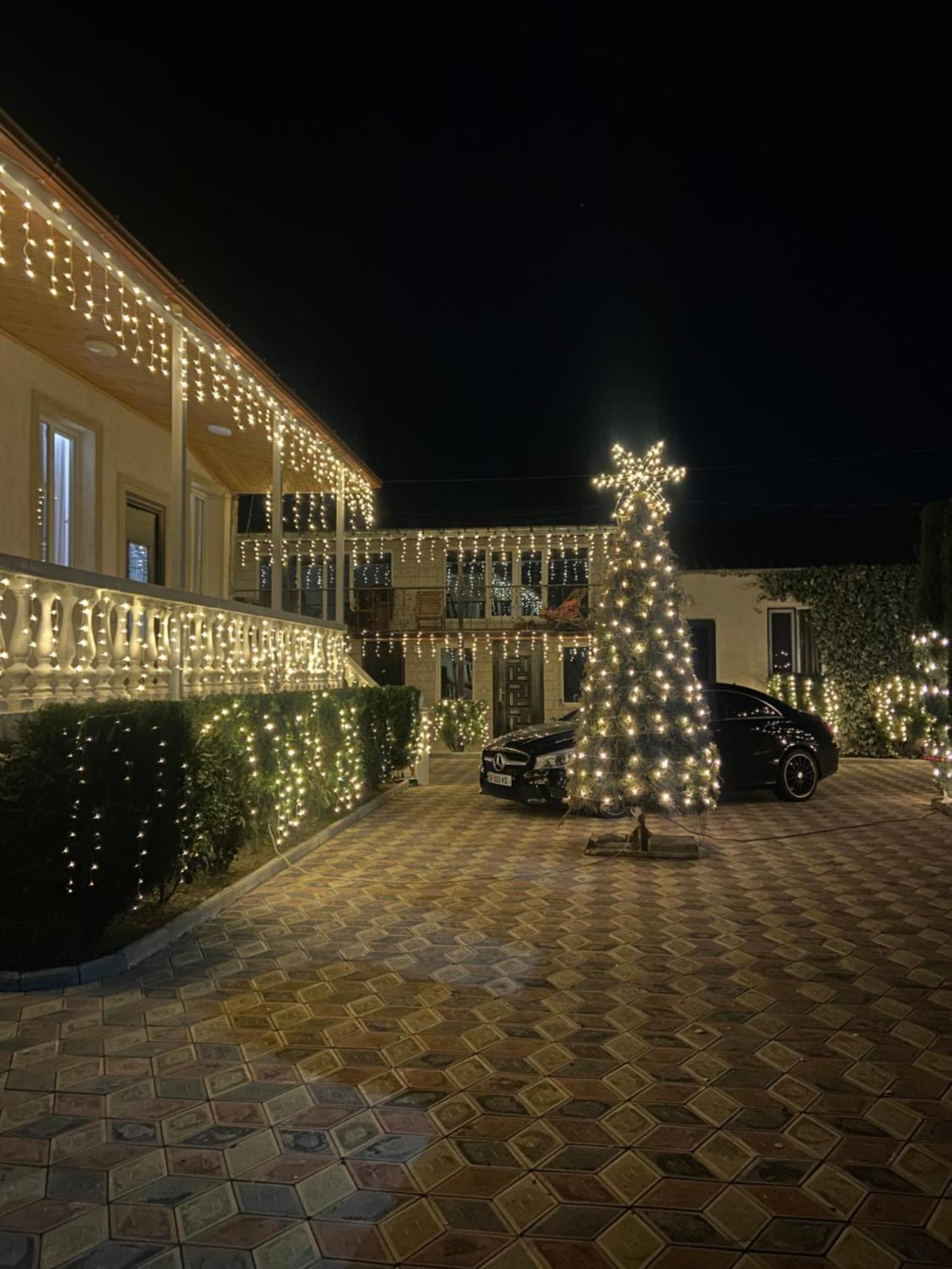 Hotel Doko Martvili Bagian luar foto