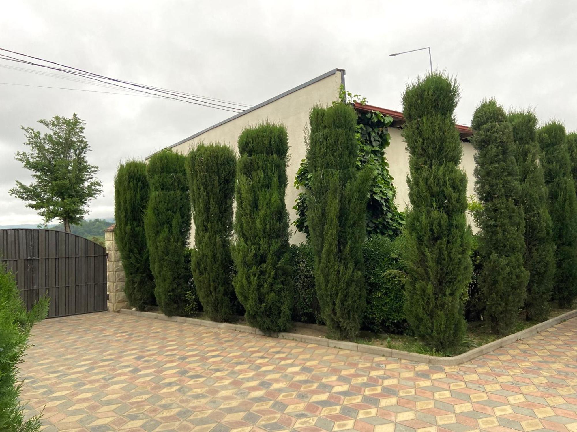 Hotel Doko Martvili Bagian luar foto